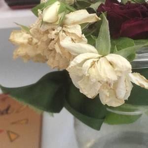 Meet your Posher, Israa